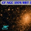 Cl* NGC 1978    WBT    3305