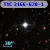 TYC 3166-620-1