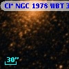 Cl* NGC 1978    WBT    3313