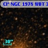 Cl* NGC 1978    WBT    3317