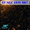 Cl* NGC 1978    WBT    3339