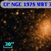 Cl* NGC 1978    WBT    3345