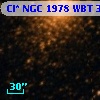 Cl* NGC 1978    WBT    3347