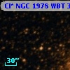 Cl* NGC 1978    WBT    3348