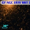 Cl* NGC 1978    WBT    3359