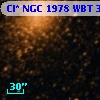 Cl* NGC 1978    WBT    3373