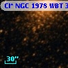 Cl* NGC 1978    WBT    3387