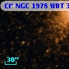 Cl* NGC 1978    WBT    3389