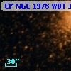 Cl* NGC 1978    WBT    3395