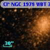 Cl* NGC 1978    WBT    3441