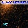 Cl* NGC 1978    WBT    3451
