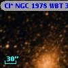Cl* NGC 1978    WBT    3461