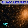 Cl* NGC 1978    WBT    3502