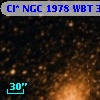Cl* NGC 1978    WBT    3504