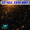 Cl* NGC 1978    WBT    3507