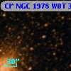 Cl* NGC 1978    WBT    3513