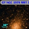 Cl* NGC 1978    WBT    3519