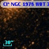 Cl* NGC 1978    WBT    3525