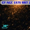 Cl* NGC 1978    WBT    3528