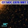 Cl* NGC 1978    WBT    3541
