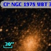 Cl* NGC 1978    WBT    3557