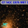 Cl* NGC 1978    WBT    3558