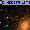 Cl* NGC 1978    WBT    3561