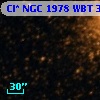 Cl* NGC 1978    WBT    3562