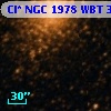 Cl* NGC 1978    WBT    3595