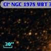 Cl* NGC 1978    WBT    3824