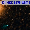 Cl* NGC 1978    WBT    3839