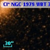 Cl* NGC 1978    WBT    3841