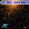 Cl* NGC 1978    WBT    3844