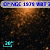 Cl* NGC 1978    WBT    3855