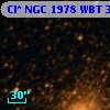 Cl* NGC 1978    WBT    3874