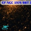 Cl* NGC 1978    WBT    3895