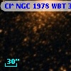 Cl* NGC 1978    WBT    3907