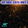 Cl* NGC 1978    WBT    3911