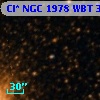 Cl* NGC 1978    WBT    3917