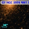 Cl* NGC 1978    WBT    3921