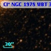 Cl* NGC 1978    WBT    3924