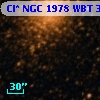 Cl* NGC 1978    WBT    3950
