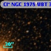 Cl* NGC 1978    WBT    3951