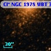 Cl* NGC 1978    WBT    3952