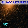 Cl* NGC 1978    WBT    3969