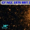Cl* NGC 1978    WBT    3977