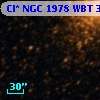 Cl* NGC 1978    WBT    3985
