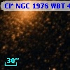 Cl* NGC 1978    WBT    4034