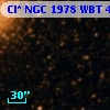 Cl* NGC 1978    WBT    4052