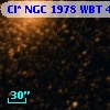 Cl* NGC 1978    WBT    4054